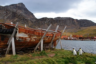 Grytviken