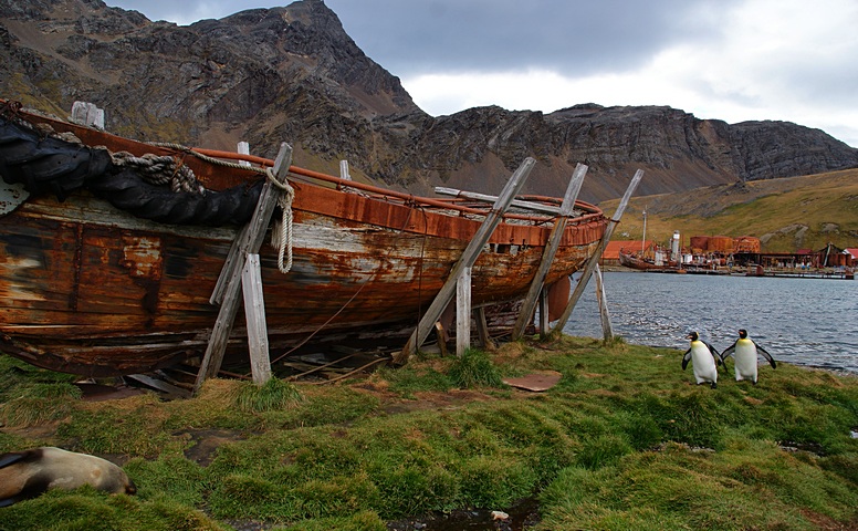 Georgia Południowa - Grytviken, fot. Henryk Wolski